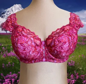 Confetti Willowdale Bra Kit